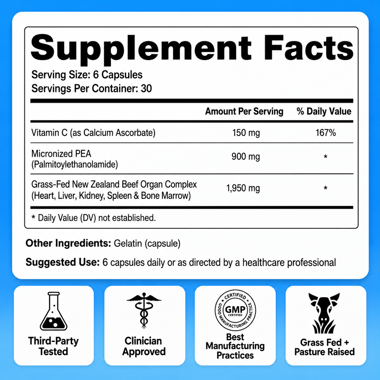 Shoulder Support Complex | PEA + Organ Nutrition + Vitamin C