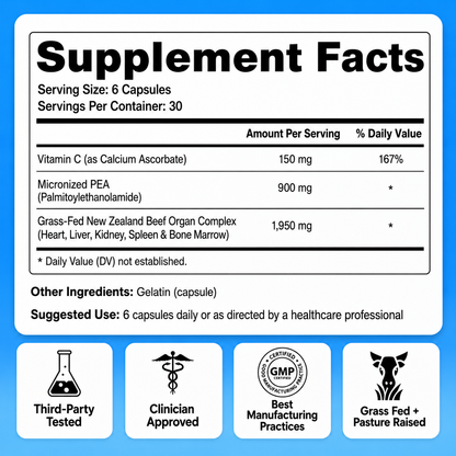 Shoulder Support Complex | PEA + Organ Nutrition + Vitamin C
